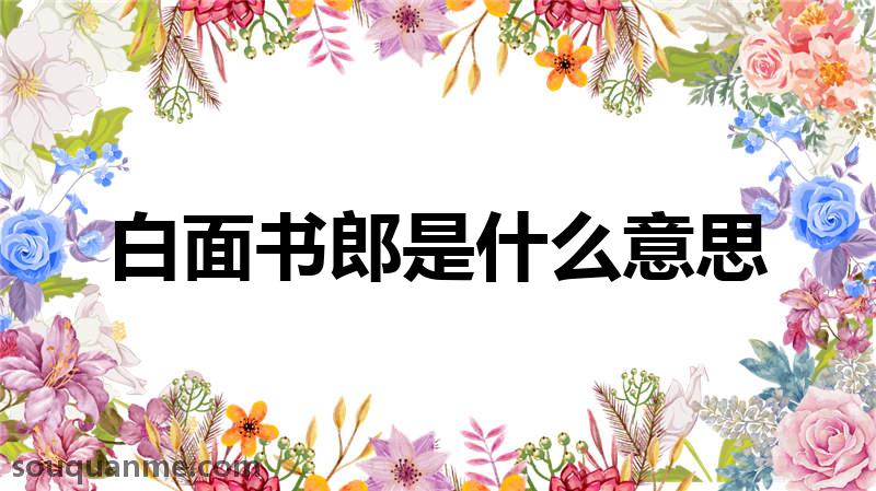 白面书郎是什么意思 白面书郎的拼音 白面书郎的成语解释